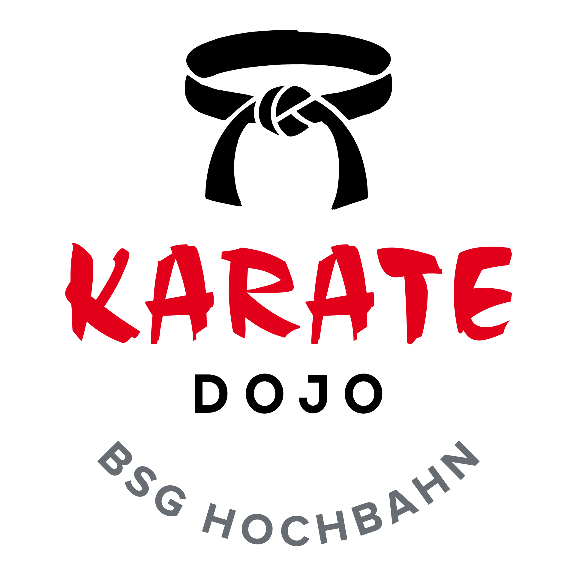 RZ BSG Hochbahn Logo Web